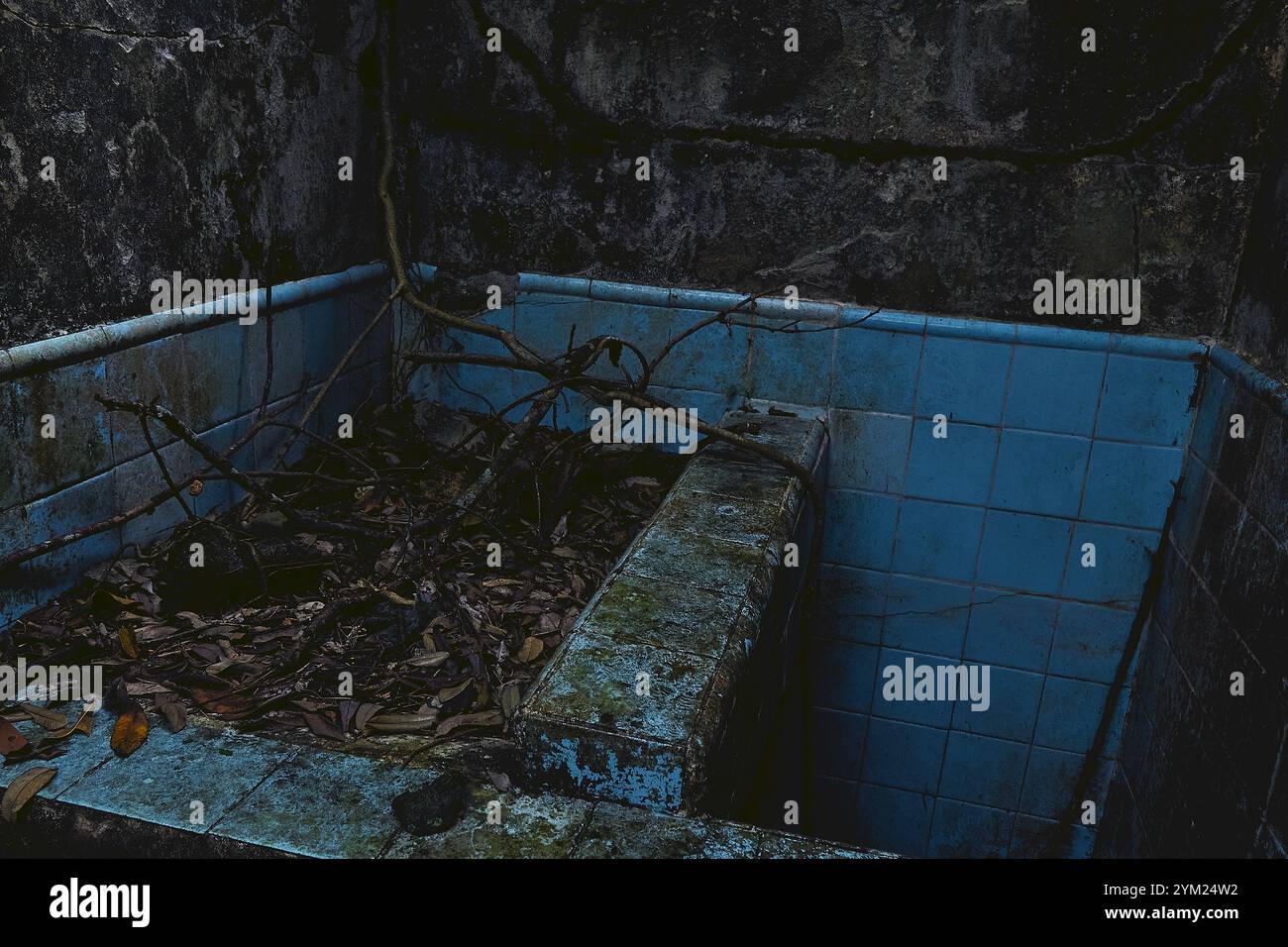 Maisons abandonnées à Armero, Tolima, Colombie, une ville fantôme laissée en ruines après l'éruption volcanique du Nevado del Ruiz de 1985. Banque D'Images