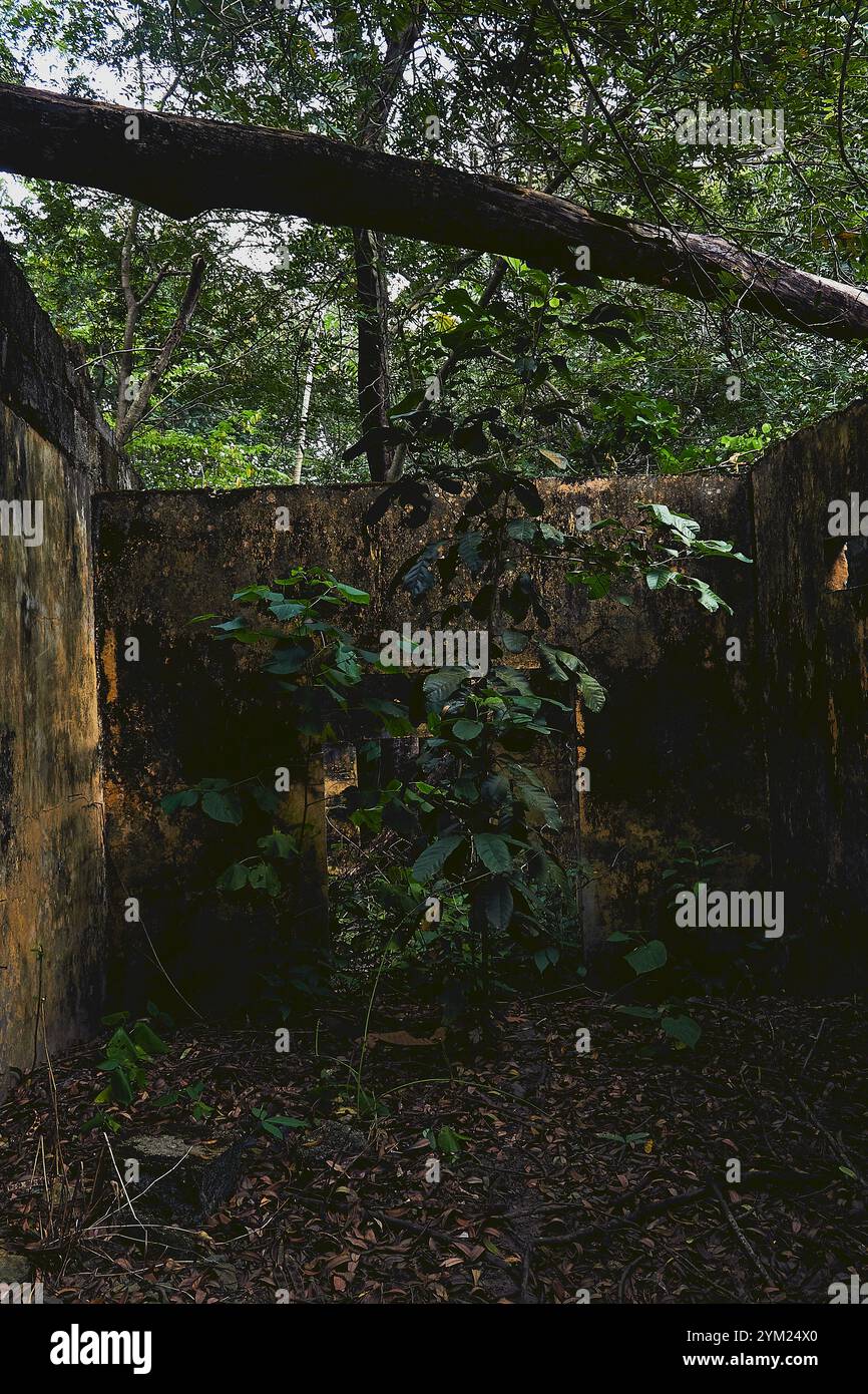 Maisons abandonnées à Armero, Tolima, Colombie, une ville fantôme laissée en ruines après l'éruption volcanique du Nevado del Ruiz de 1985. Banque D'Images