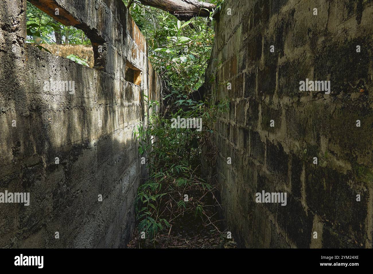 Maisons abandonnées à Armero, Tolima, Colombie, une ville fantôme laissée en ruines après l'éruption volcanique du Nevado del Ruiz de 1985. Banque D'Images