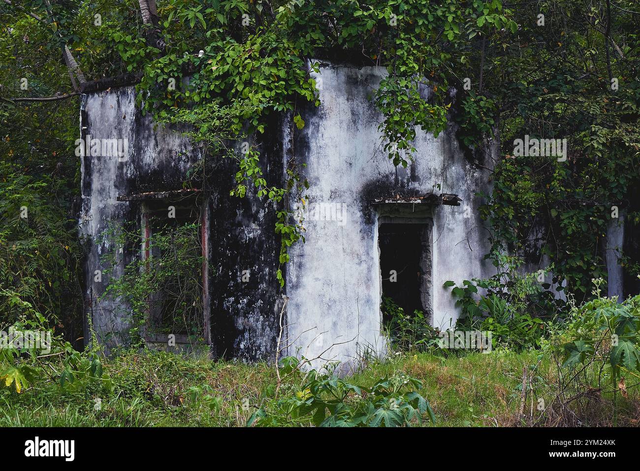 Maisons abandonnées à Armero, Tolima, Colombie, une ville fantôme laissée en ruines après l'éruption volcanique du Nevado del Ruiz de 1985. Banque D'Images