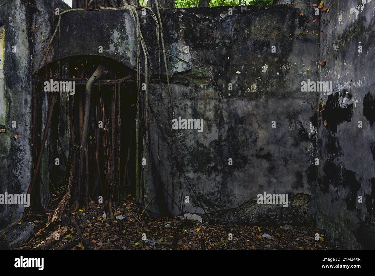 Maisons abandonnées à Armero, Tolima, Colombie, une ville fantôme laissée en ruines après l'éruption volcanique du Nevado del Ruiz de 1985. Banque D'Images
