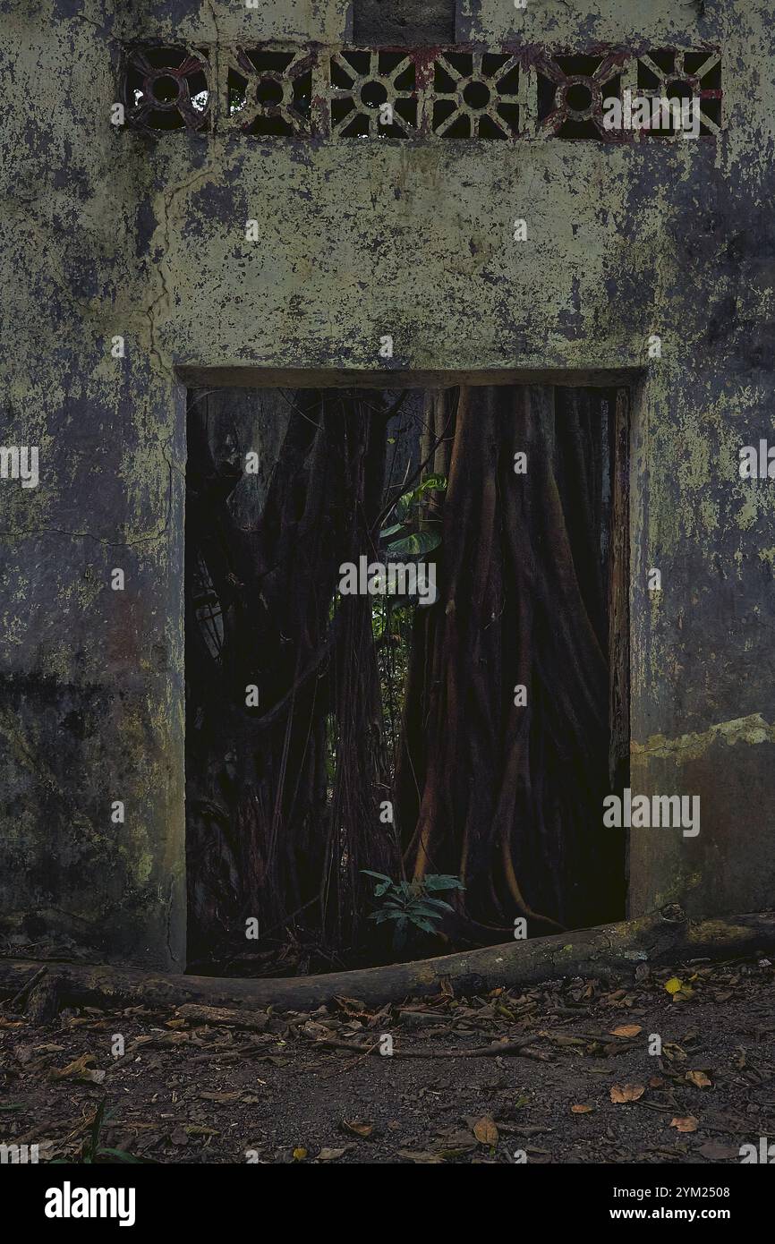 Maisons abandonnées à Armero, Tolima, Colombie, une ville fantôme laissée en ruines après l'éruption volcanique du Nevado del Ruiz de 1985. Banque D'Images