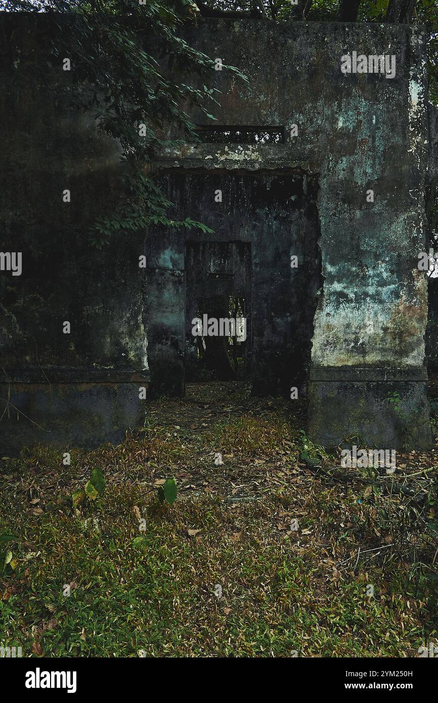Maisons abandonnées à Armero, Tolima, Colombie, une ville fantôme laissée en ruines après l'éruption volcanique du Nevado del Ruiz de 1985. Banque D'Images