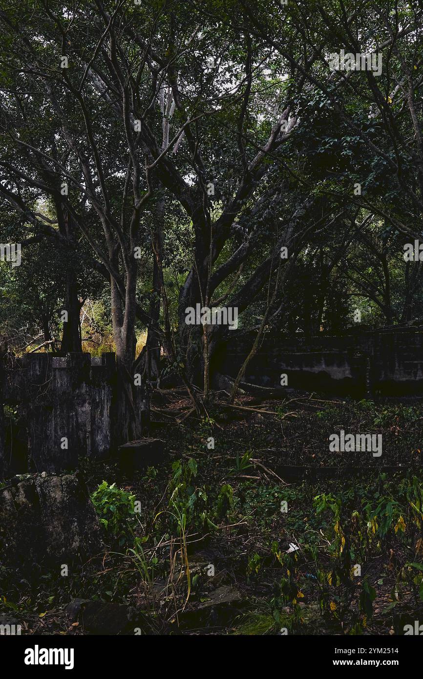 Maisons abandonnées à Armero, Tolima, Colombie, une ville fantôme laissée en ruines après l'éruption volcanique du Nevado del Ruiz de 1985. Banque D'Images