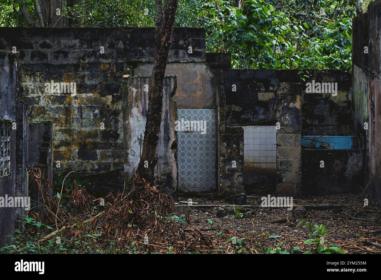 Maisons abandonnées à Armero, Tolima, Colombie, une ville fantôme laissée en ruines après l'éruption volcanique du Nevado del Ruiz de 1985. Banque D'Images