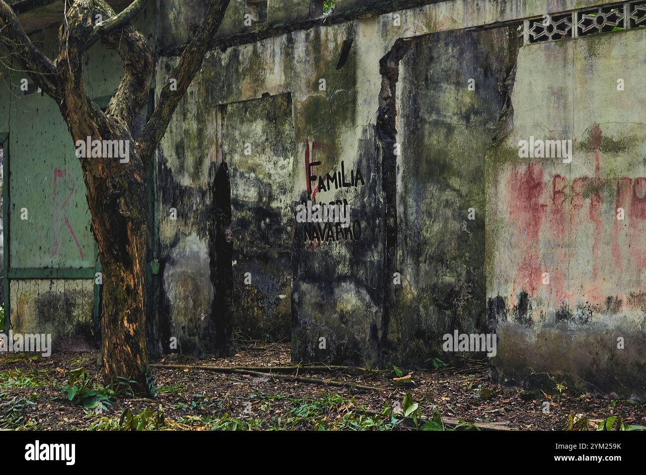Maisons abandonnées à Armero, Tolima, Colombie, une ville fantôme laissée en ruines après l'éruption volcanique du Nevado del Ruiz de 1985. Banque D'Images
