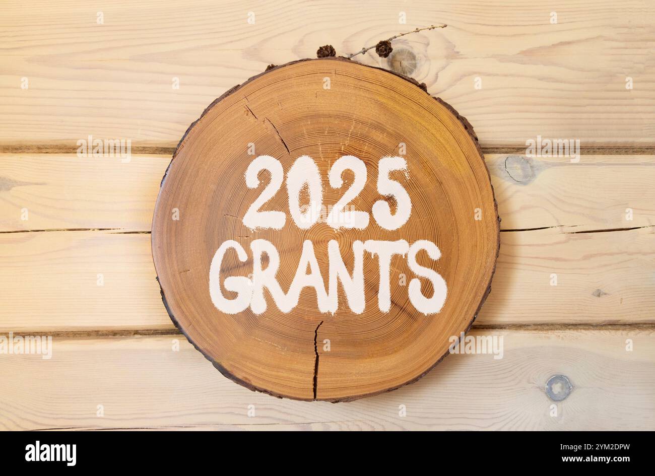 Planification 2025 subventions symbole du nouvel an. Concepts Words 2025 subventions sur un beau cercle en bois. Beau fond de mur en bois. Business 2025 subventions nouvelles Banque D'Images