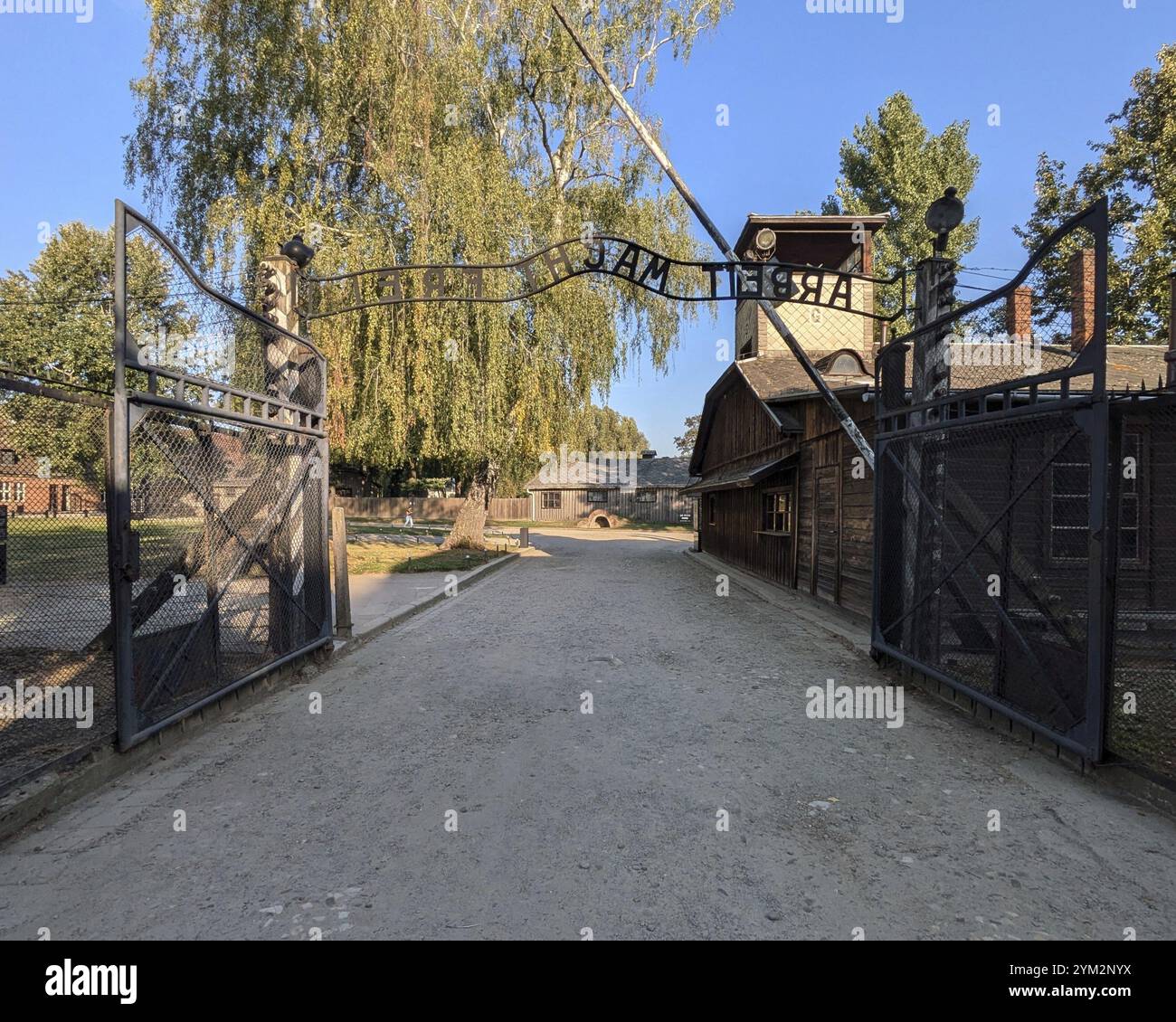 Entrée avec portail en fer forgé et un chemin de terre bordée d'arbres. Auschwitz-Birkenau, Pologne, Europe Banque D'Images