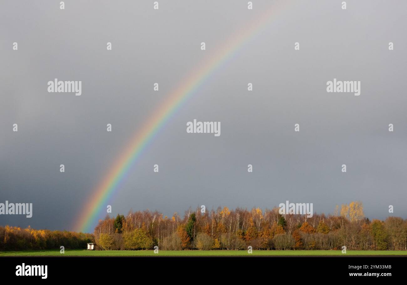 Arc-en-ciel dans le ciel sombre au-dessus de la forêt brillamment éclairée dans les couleurs de l'automne Banque D'Images