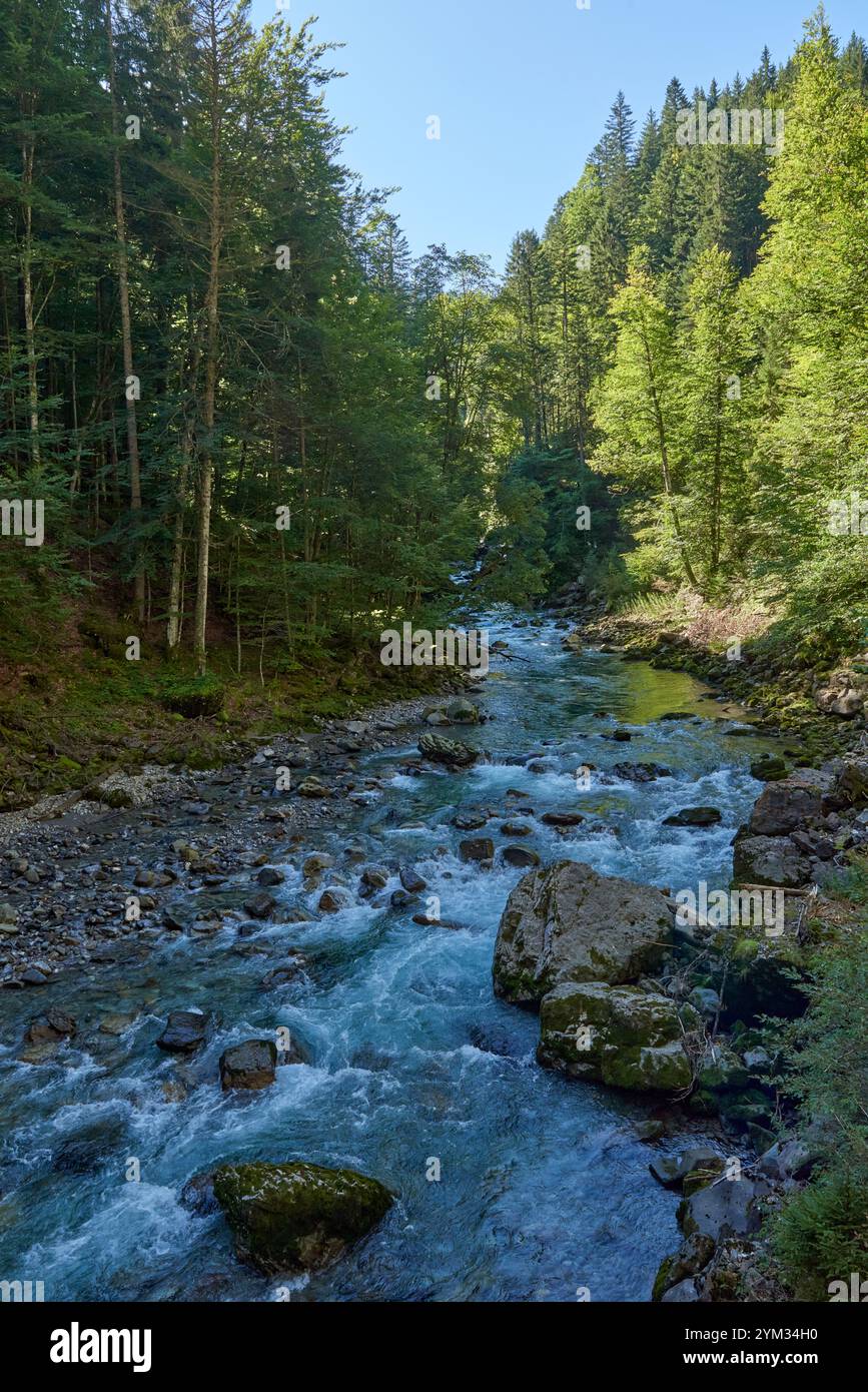 Ruisseau alpin immaculé coule à travers la vallée luxuriante des montagnes avec un paysage rural respectueux de l'environnement. La scène de la nature sauvage sereine capture l'harmonie environnementale dans Banque D'Images
