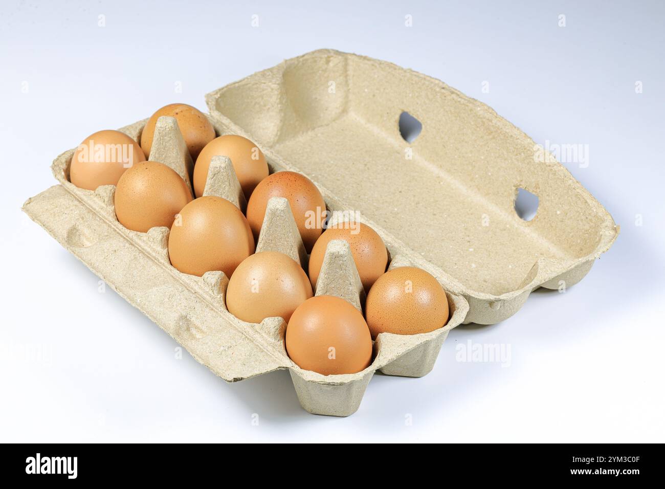 Cru d'oeufs de poule dans la boîte à oeufs fabriqué à partir de matériaux recyclés dans la lumière de la nature. Banque D'Images