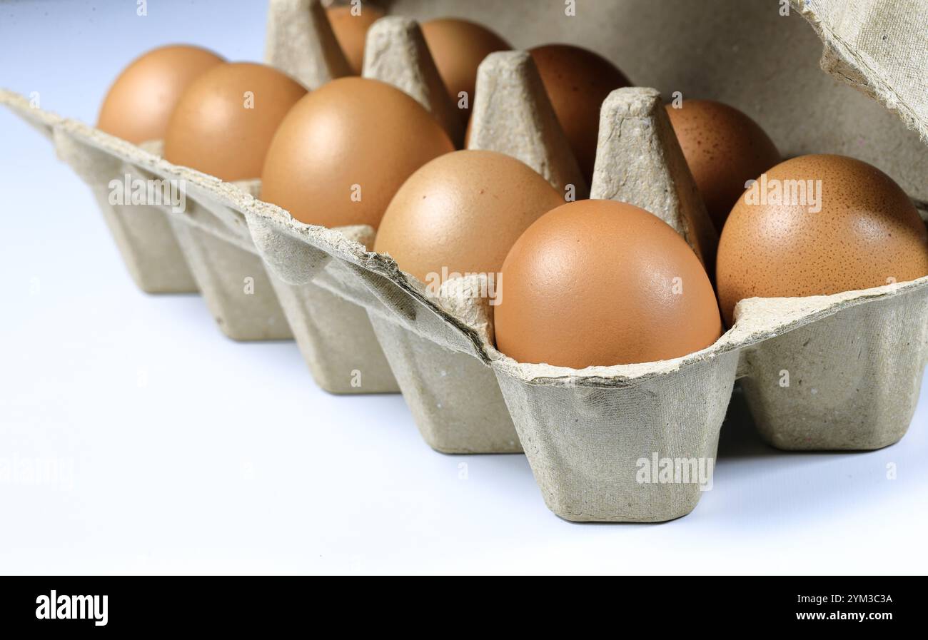 Cru d'oeufs de poule dans la boîte à oeufs fabriqué à partir de matériaux recyclés dans la lumière de la nature. Banque D'Images