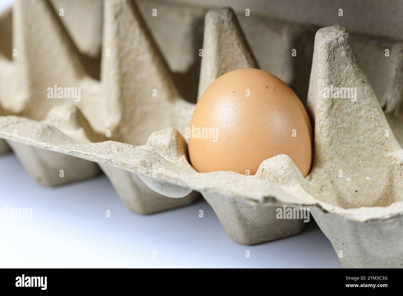 Cru d'oeufs de poule dans la boîte à oeufs fabriqué à partir de matériaux recyclés dans la lumière de la nature. Banque D'Images