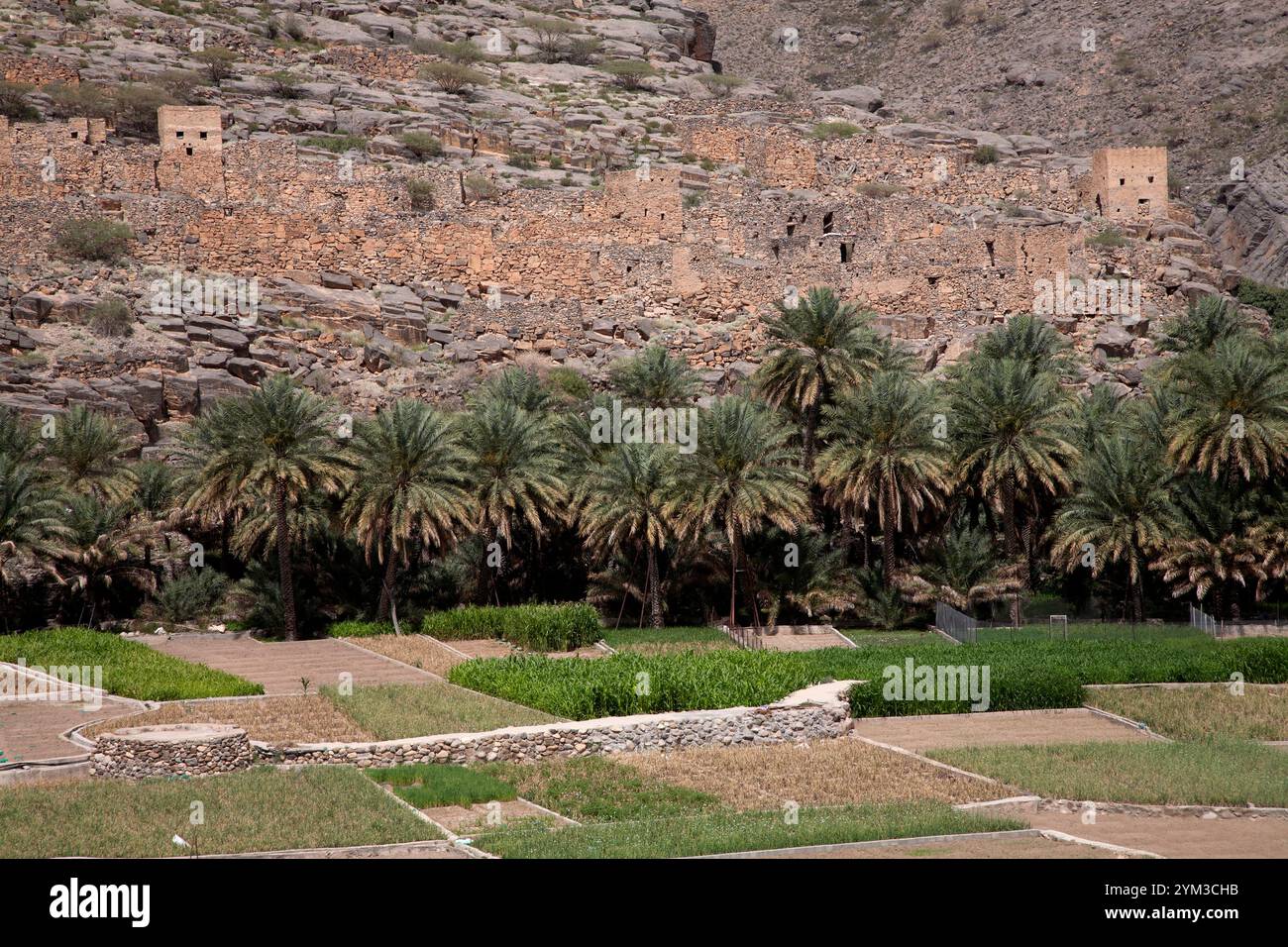 wadi ghul hajar montagnes al hamra oman moyen-orient Banque D'Images