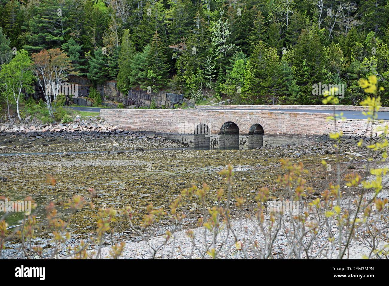 Pont Otter Cove, parc national Acadia, Maine Banque D'Images