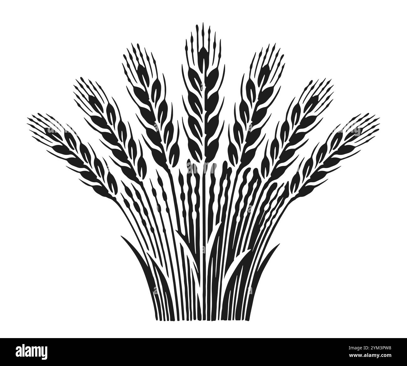 Gerbe d'épis de blé. Récolte de céréales. Illustration vectorielle de tiges d'orge ou de seigle Illustration de Vecteur
