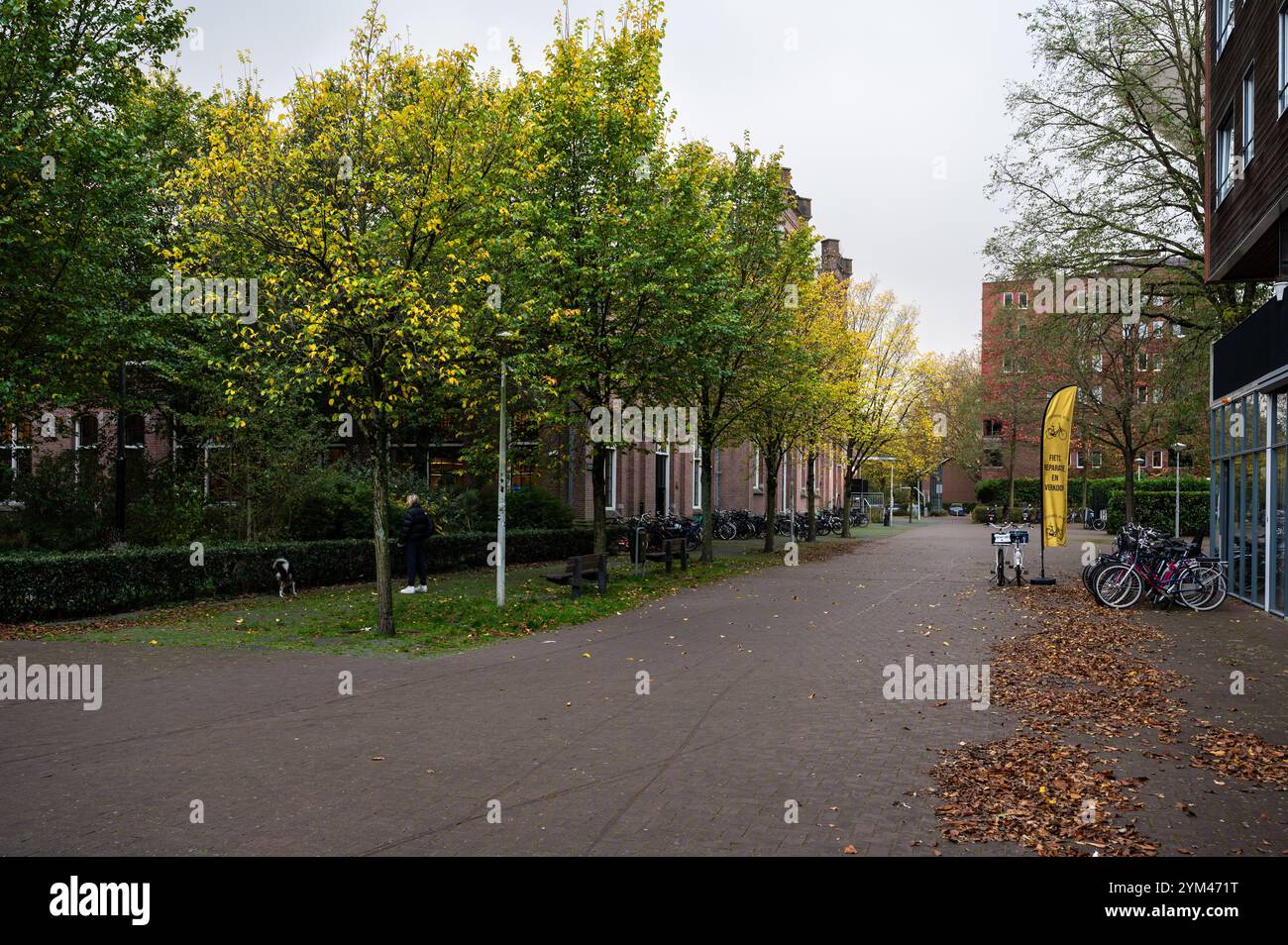 Jardin d'automne coloré Tuinpark nut en Genoegen à Amsterdam, pays-Bas, 14 novembre 2024 Banque D'Images