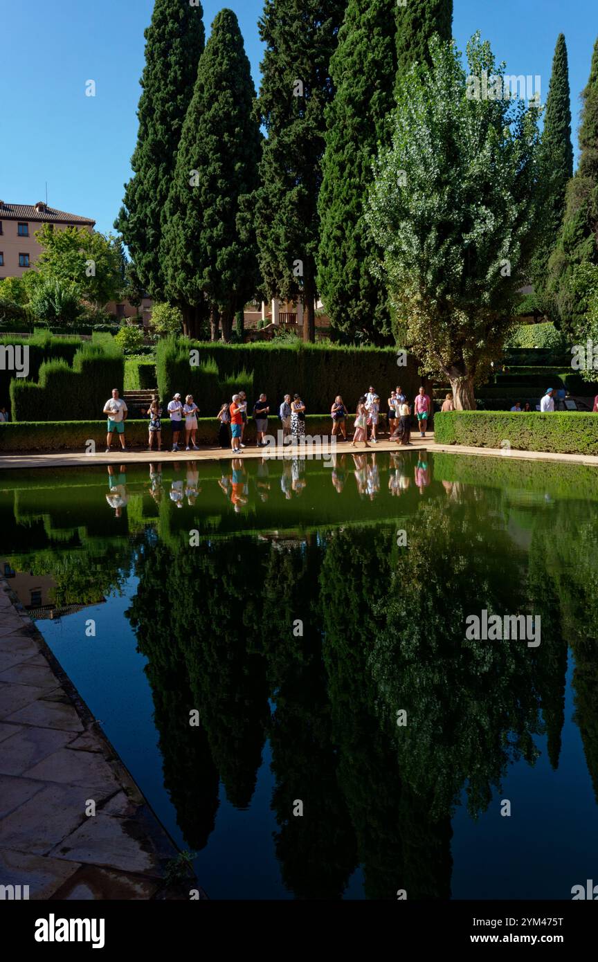 Les visiteurs admirent la piscine réfléchissante sereine entourée de jardins luxuriants et d'imposants cyprès de l'Alhambra Banque D'Images