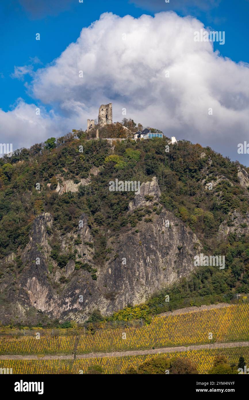 Drachenfels, une montagne dans le Siebengebirge sur le Rhin entre Bad Honnef et Königswinter, avec les ruines du château de Drachenfels, Drachenfelsplateau, NRW, Banque D'Images