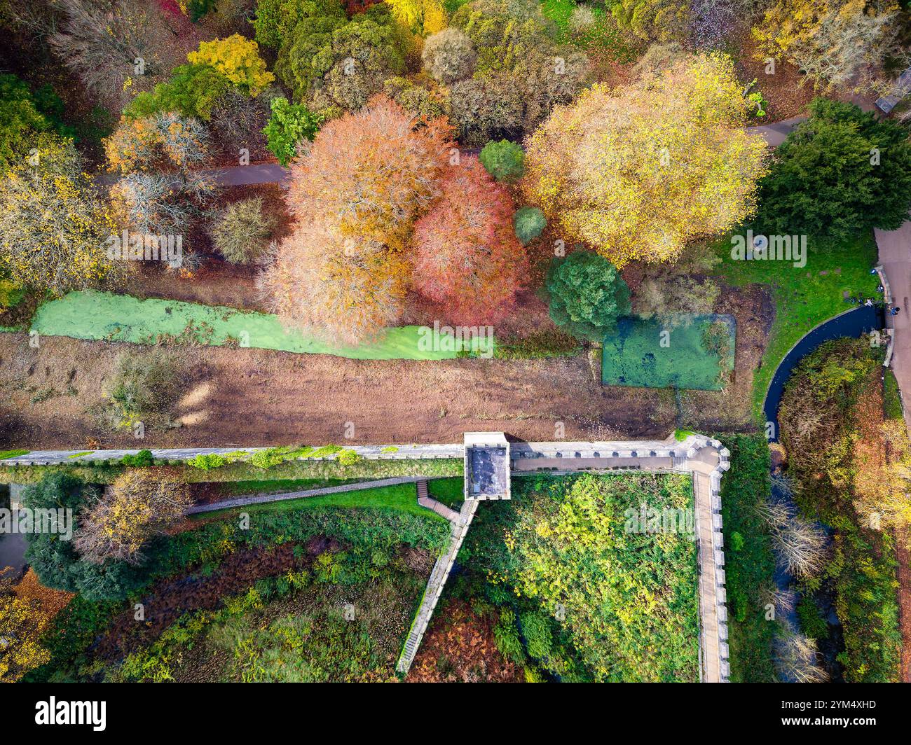 Feuilles et feuillages d'automne spectaculaires à Bute Park, Cardiff, pays de Galles Banque D'Images