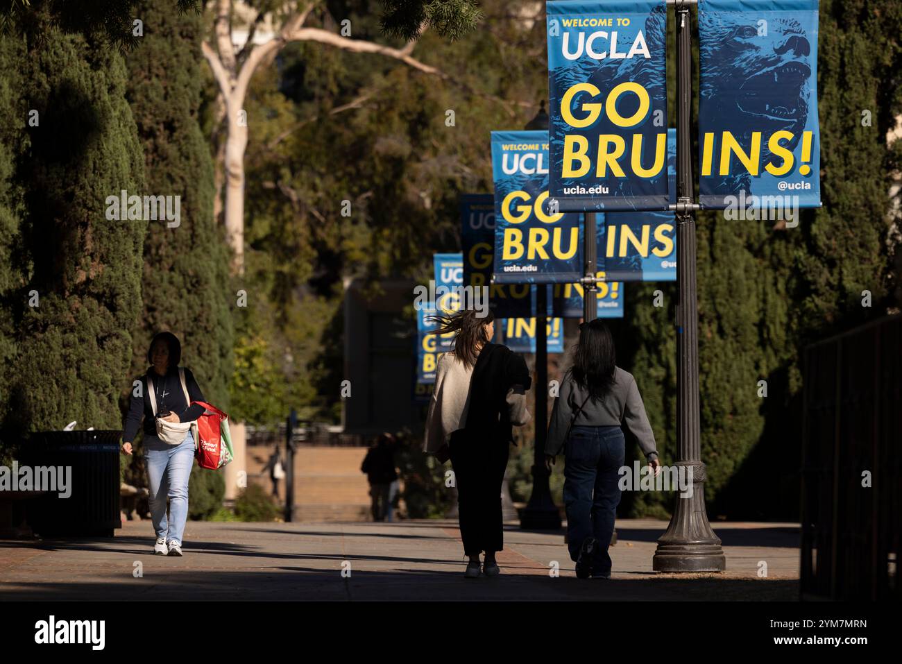 Westwood, Los Angeles, Californie, États-Unis - 16 novembre 2024 : les étudiants marchent sur le campus principal de l'UCLA. Banque D'Images