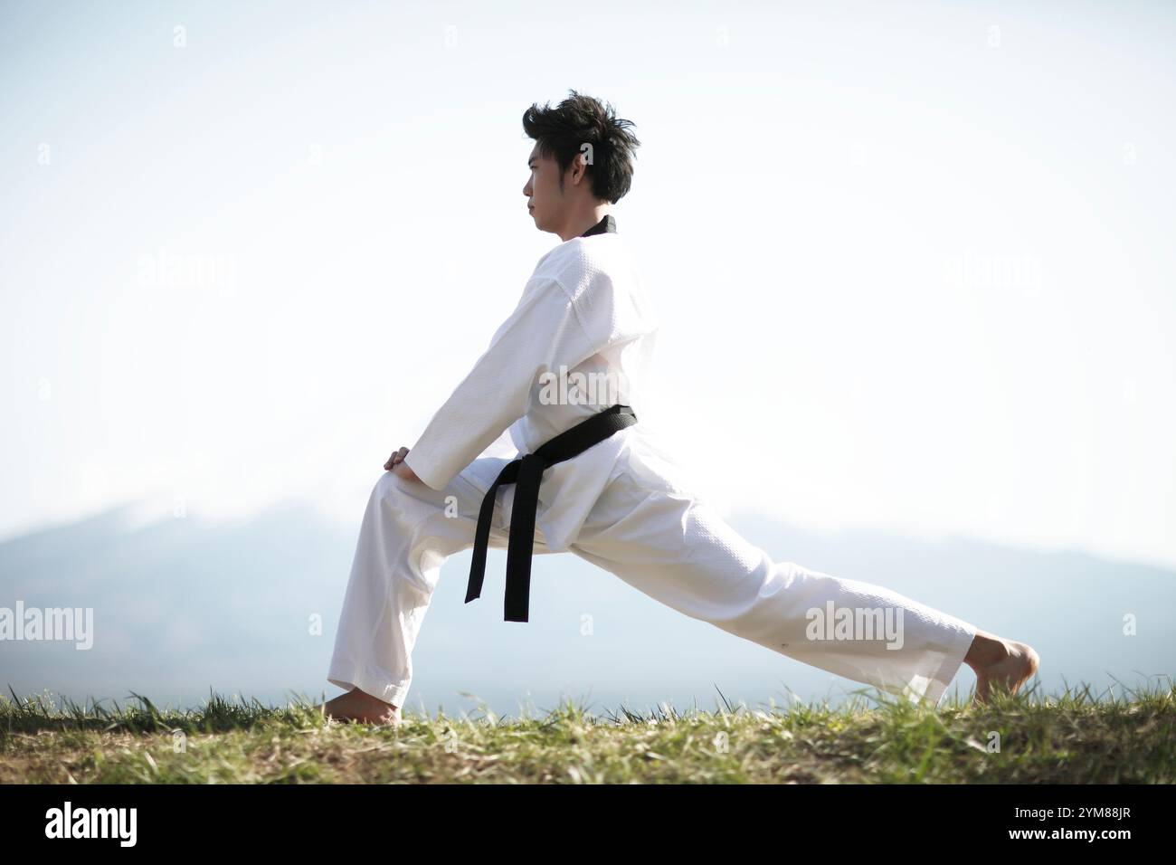 Mouvement sacrilège taekwondo Banque D'Images