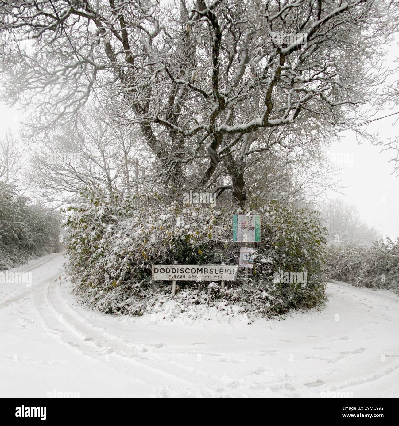 Doddiscombsleigh, Devon, Royaume-Uni. 21 novembre 2024. Météo Royaume-Uni : neige à Doddiscombsleigh, Teign Valley, Devon. Crédit : Nidpor/Alamy Live News Banque D'Images