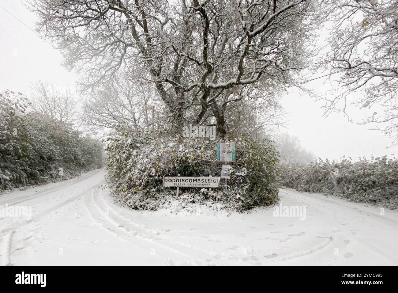 Doddiscombsleigh, Devon, Royaume-Uni. 21 novembre 2024. Météo Royaume-Uni : neige à Doddiscombsleigh, Teign Valley, Devon. Crédit : Nidpor/Alamy Live News Banque D'Images