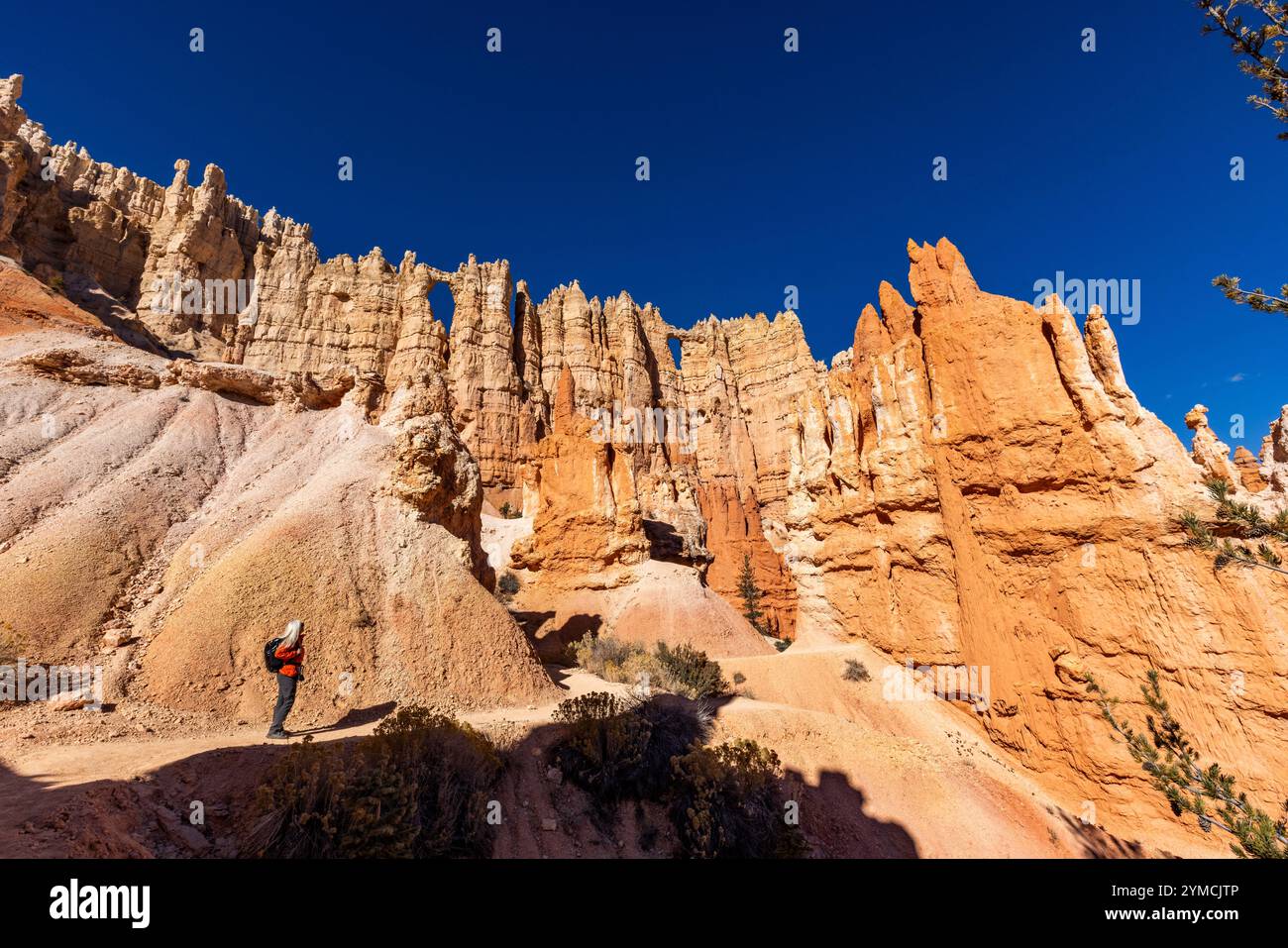 Femme regardant la vue dans le parc national de Bryce Canyon Banque D'Images