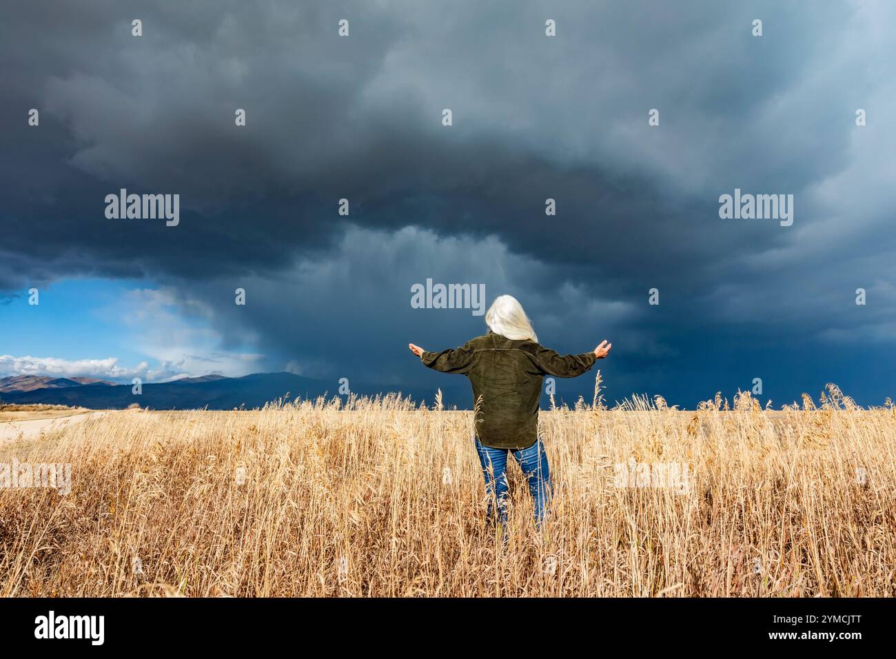 Vue arrière d'une femme debout dans des herbes d'automne sous un ciel orageux Banque D'Images