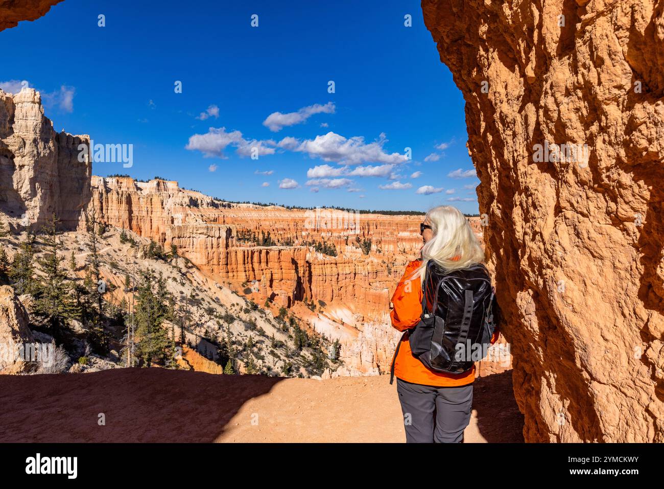 Vue arrière d'une femme regardant dans le parc national de Bryce Canyon Banque D'Images