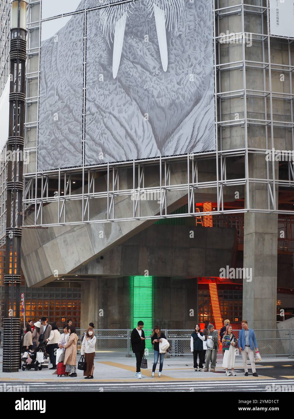 Traversée de Sukiyabashi avec le bâtiment nouvellement construit du parc Sony Ginza qui a une photo d'un morse, faisant partie d'une série d'espèces menacées. Banque D'Images