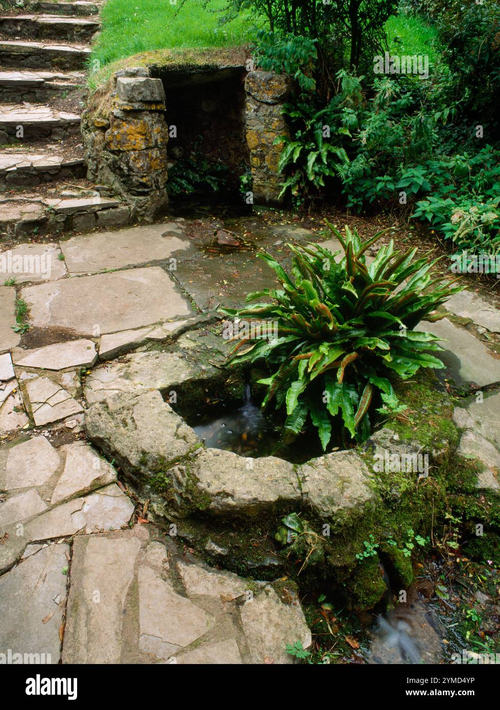 Vue S de St Decuman's Well, Watchet, Somerset, Angleterre, Royaume-Uni : L'eau coule de la maison du puits dans des bassins en forme de d reliés par des canaux en pierre. Banque D'Images