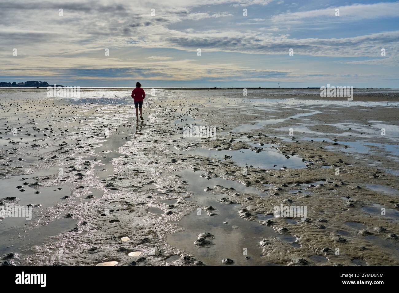 Femme randonnée dans la mer des wadden à marée basse dans la mer des wadden de la péninsule de Quiberon, Bretagne, France Banque D'Images