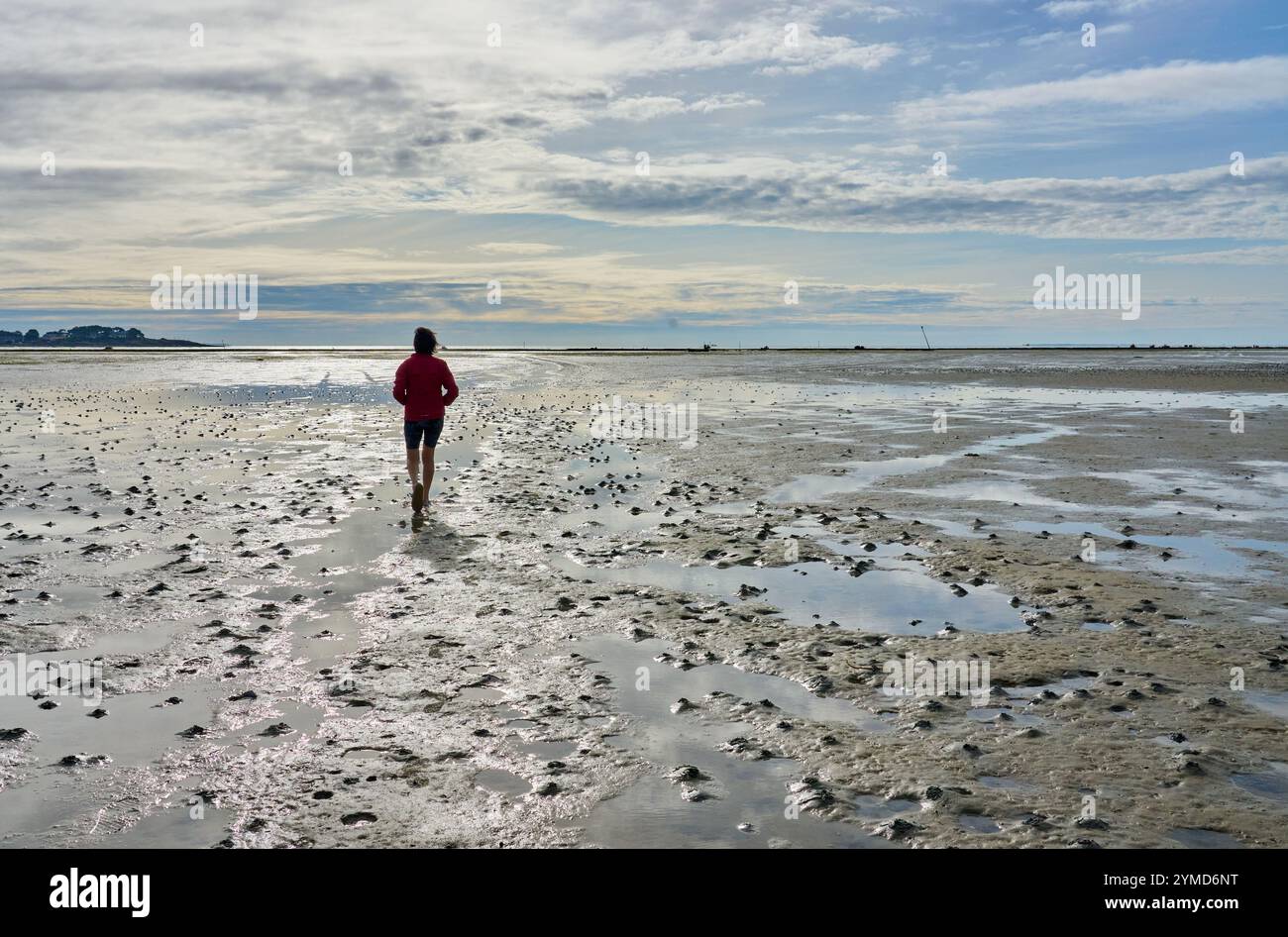 Femme randonnée dans la mer des wadden à marée basse dans la mer des wadden de la péninsule de Quiberon, Bretagne, France Banque D'Images