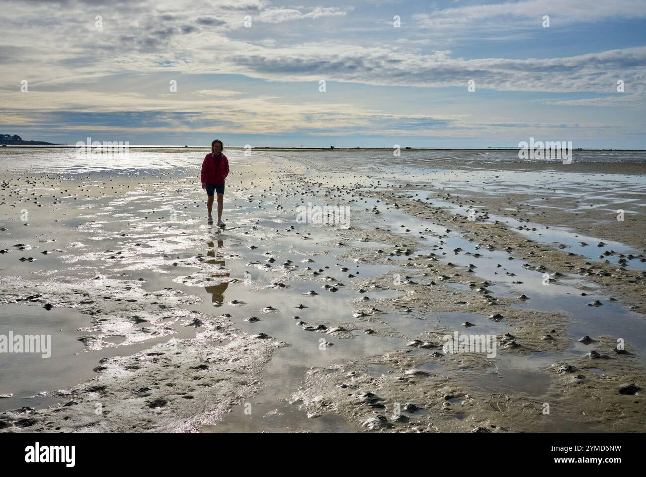 Femme randonnée dans la mer des wadden à marée basse dans la mer des wadden de la péninsule de Quiberon, Bretagne, France Banque D'Images
