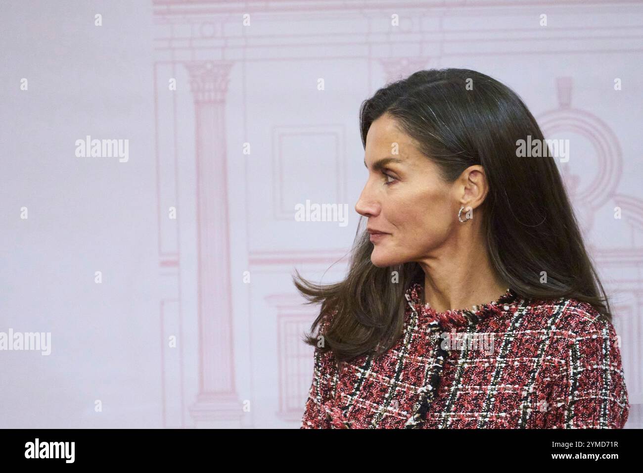 Madrid, Espagne. 21 novembre 2024. La reine Letizia d'Espagne assiste à la 14e édition des Prix de journalisme parlementaire 'Luis Carandell' au Palais du Sénat le 21 novembre 2024 à Madrid, en Espagne. Crédit : album/Alamy Live News Banque D'Images
