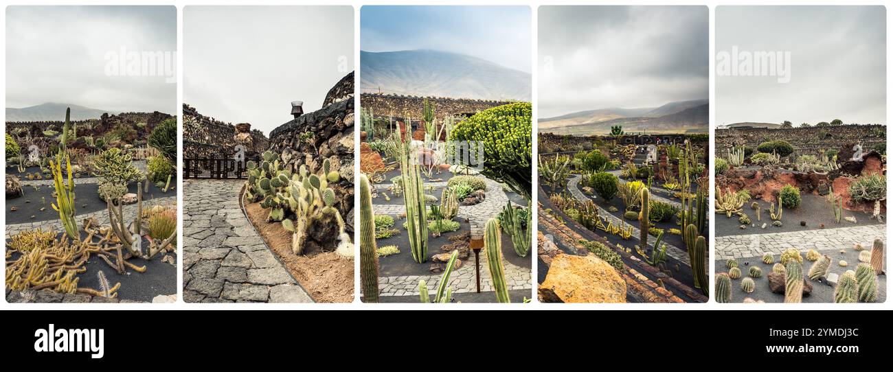 Collage de vues étonnantes de la ferme de cactus de Lanzarote, îles Canaries, Espagne Banque D'Images