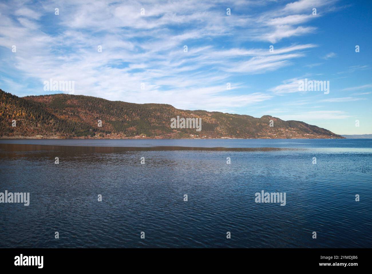 Paysage norvégien. Les montagnes côtières couvertes de forêt sont sous le ciel nuageux par une journée ensoleillée Banque D'Images