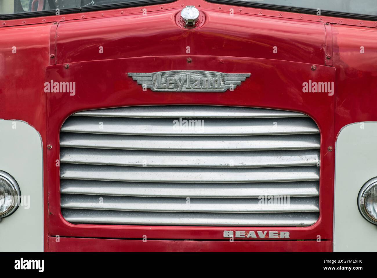 Vue frontale d'un camion Leyland Beaver 1948 crème et rouge Banque D'Images