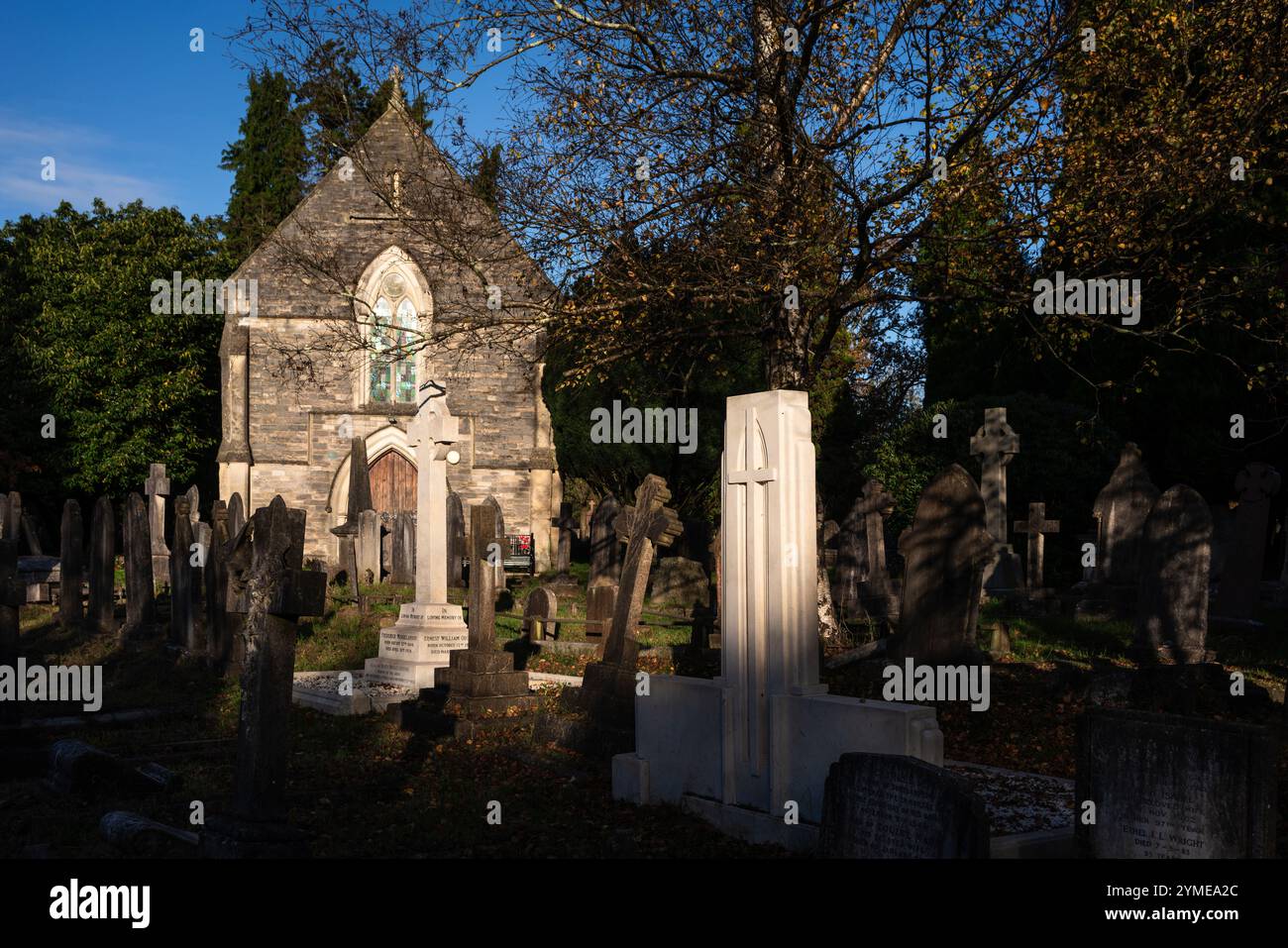 Faible lumière du soleil d'automne créant un fort contraste de lumière et d'ombre sur le vieux cimetière sur le Common, Southampton, Hampshire, Angleterre, Royaume-Uni Banque D'Images
