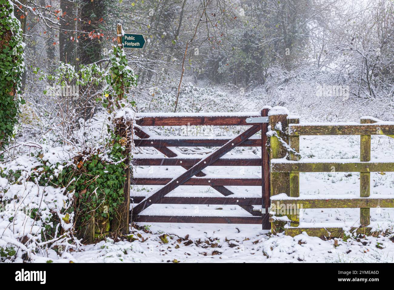 Neige du début de l'hiver tombant en novembre sur un sentier public près du village Cotswold de Snowshill, Gloucestershire, Angleterre Royaume-Uni Banque D'Images