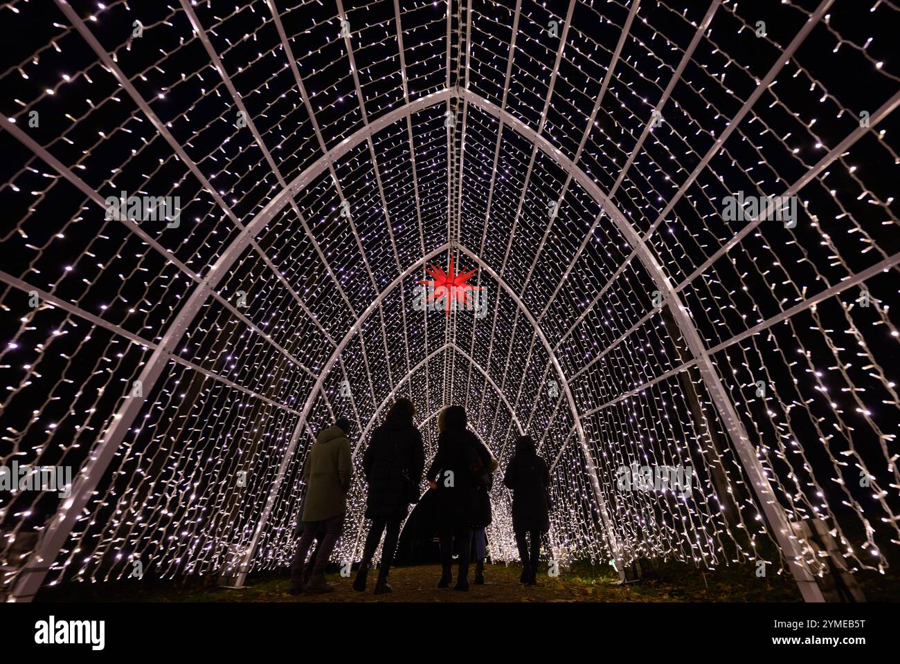 Dresde, Allemagne. 21 novembre 2024. Le jardin d'agrément dans le parc du palais de Pillnitz à l'est de Dresde est illuminé pour l'ouverture du 'jardin de Noël'. Pillnitz était le palais de plaisir d'Auguste le fort (1670-1733) et est l'un des onze endroits en Allemagne qui sont illuminés à l'approche de Noël. Crédit : Robert Michael/dpa/Alamy Live News Banque D'Images