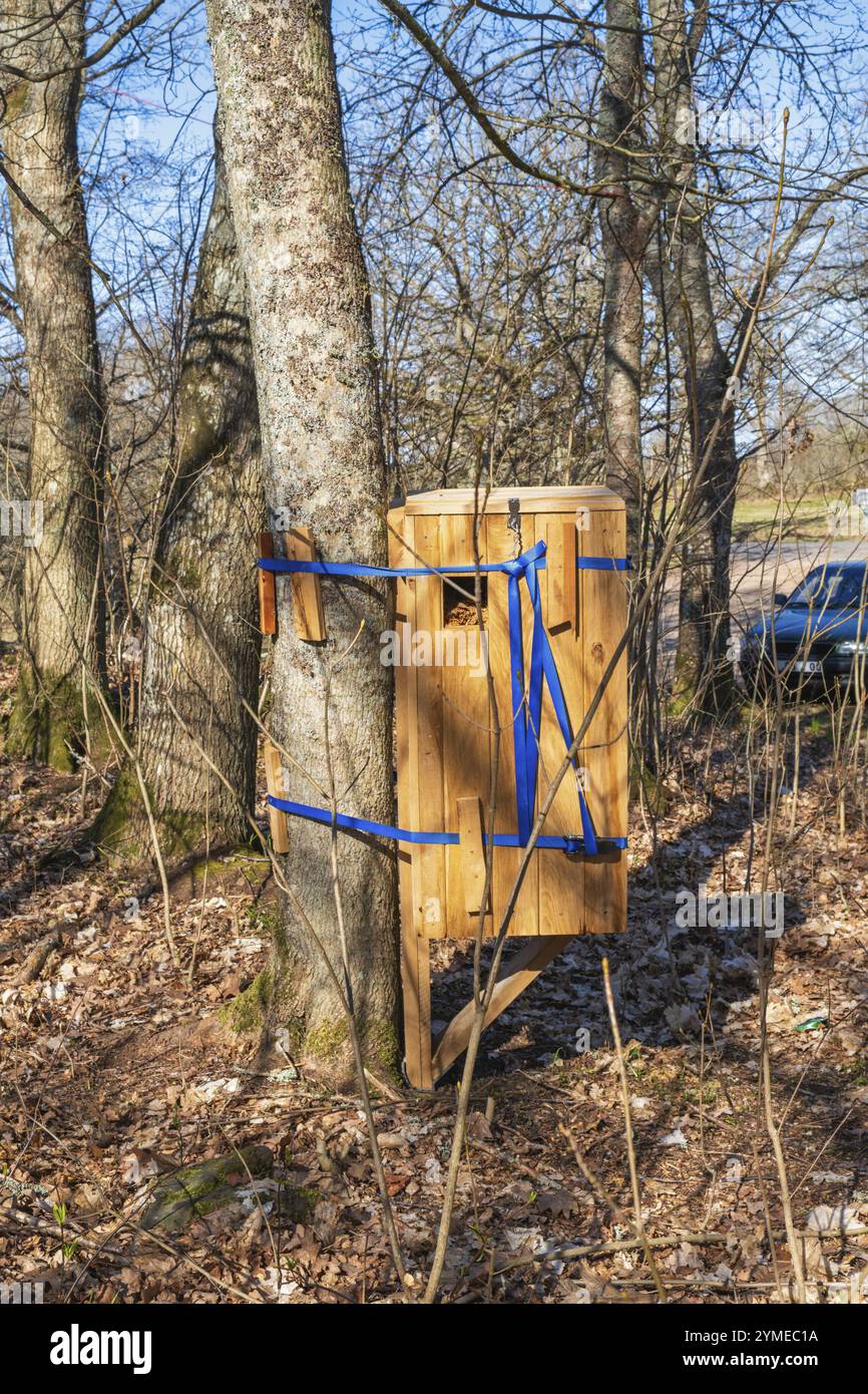 Hôtel d'insectes dans une boîte en bois pour coléoptères sur un tronc d'arbre dans une forêt pour la conservation de la nature Suède Banque D'Images