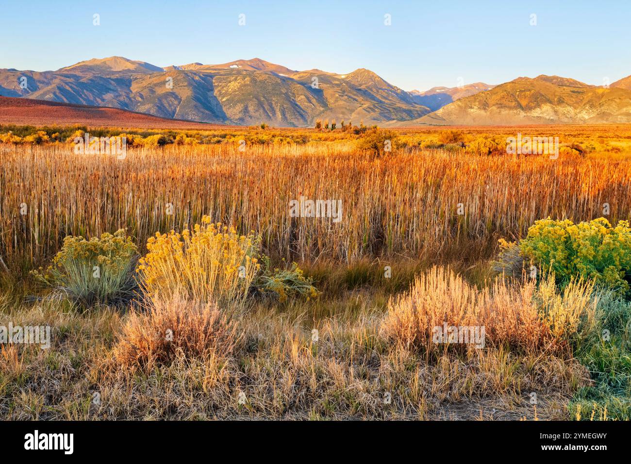 Mono Hot Springs ; Eastern High Sierras ; Mono County ; Dawn ; Californie Banque D'Images