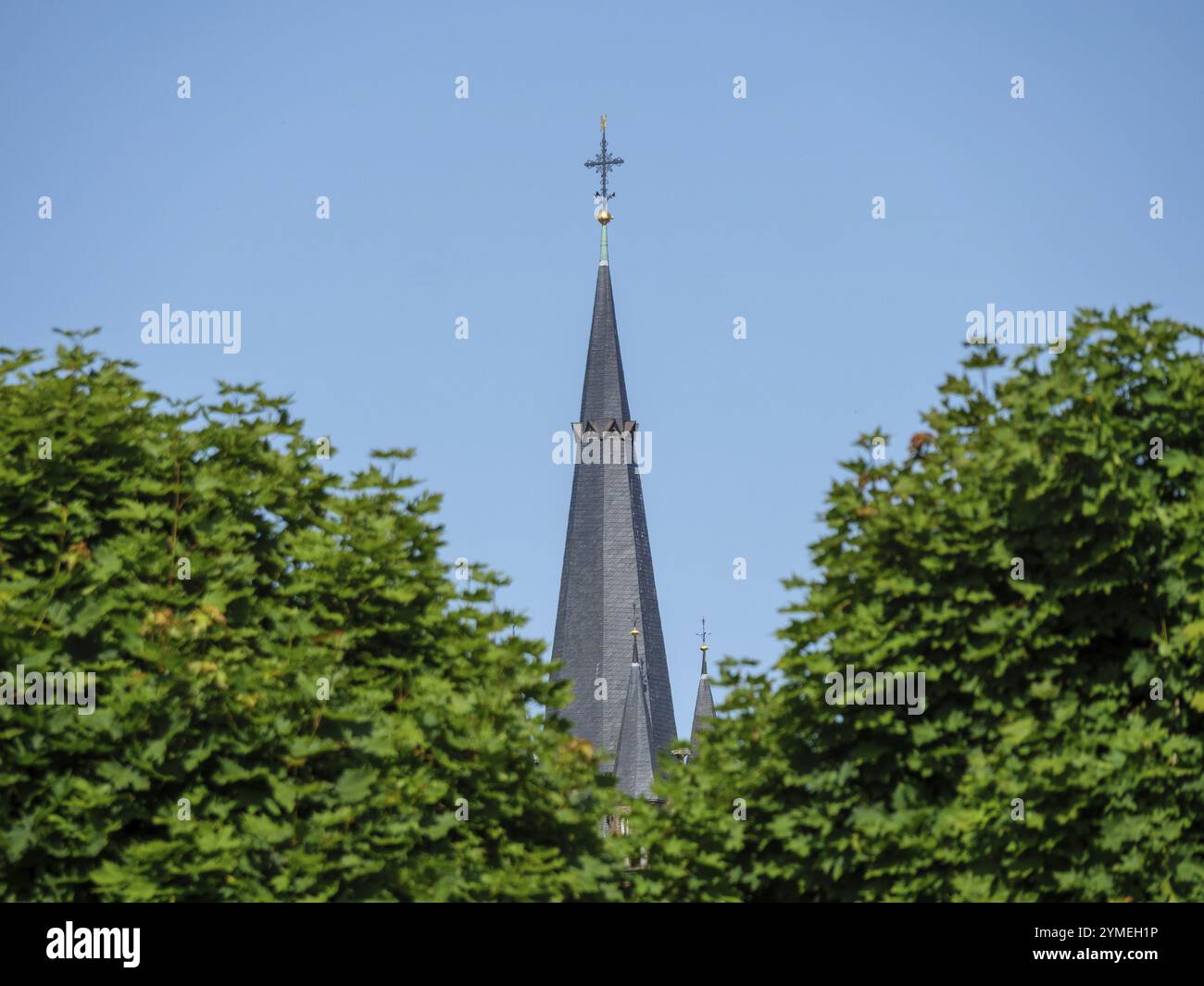 Flèche d'une tour d'église s'élève au-dessus de la cime verte des arbres sous un ciel bleu, weseke, muensterland, allemagne Banque D'Images