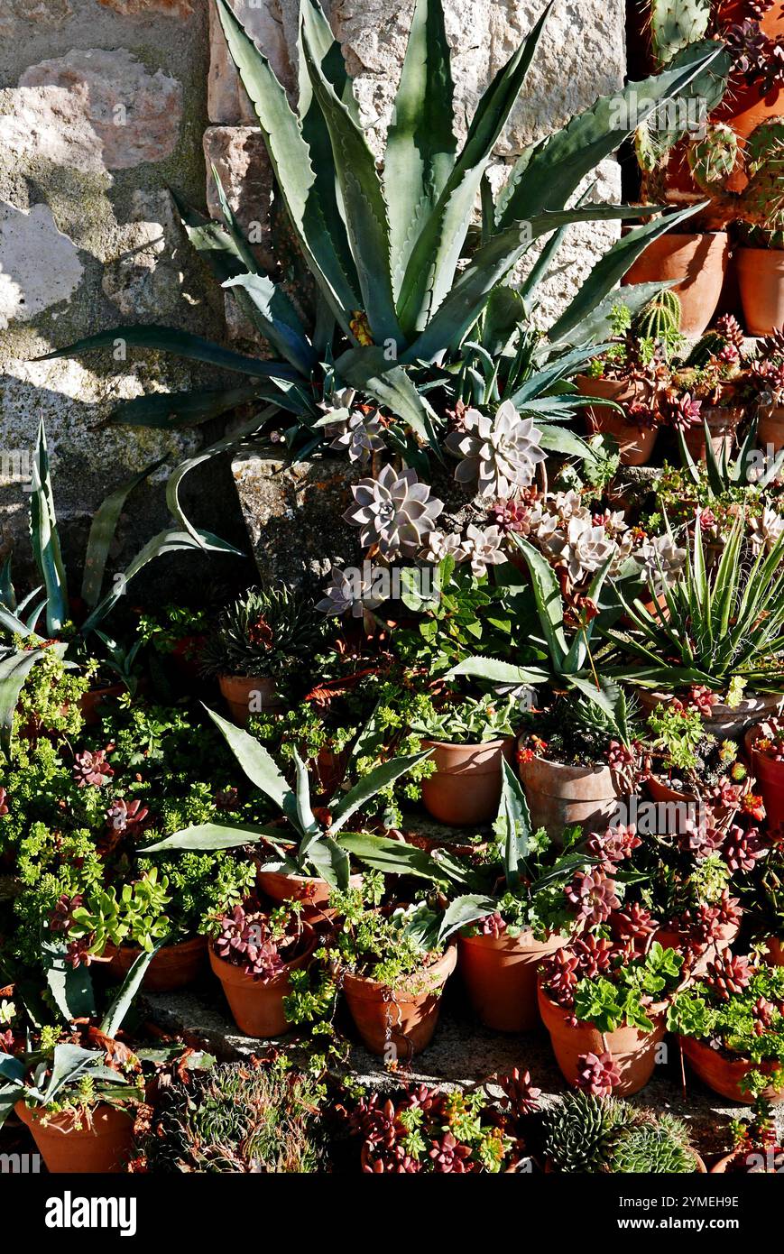 Castelnau-de-Montmiral, Tarn, Occitanie, France, Europe Banque D'Images