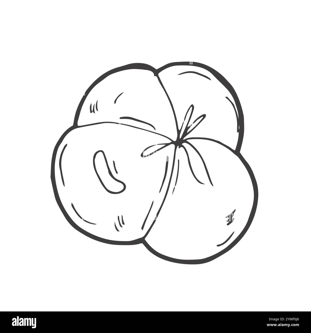Nourriture à base de viande, saucisse ou jambon dans le vecteur d'esquisse isolé de filet de corde. Produit de boucherie Illustration de Vecteur