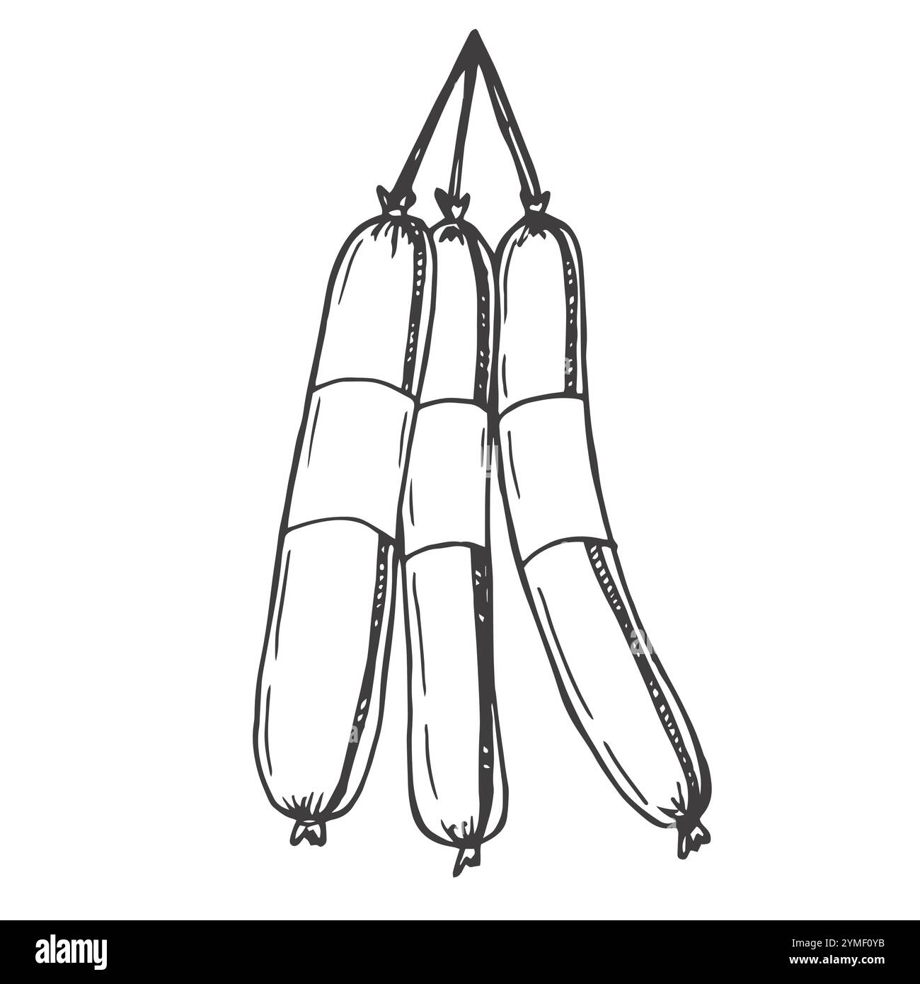 Illustration vectorielle d'icône de contour de saucisse de salami. Alignez des tranches dessinées à la main et un rouleau de porc charcuterie, du chorizo italien ou une sauce traditionnelle allemande fumée Illustration de Vecteur