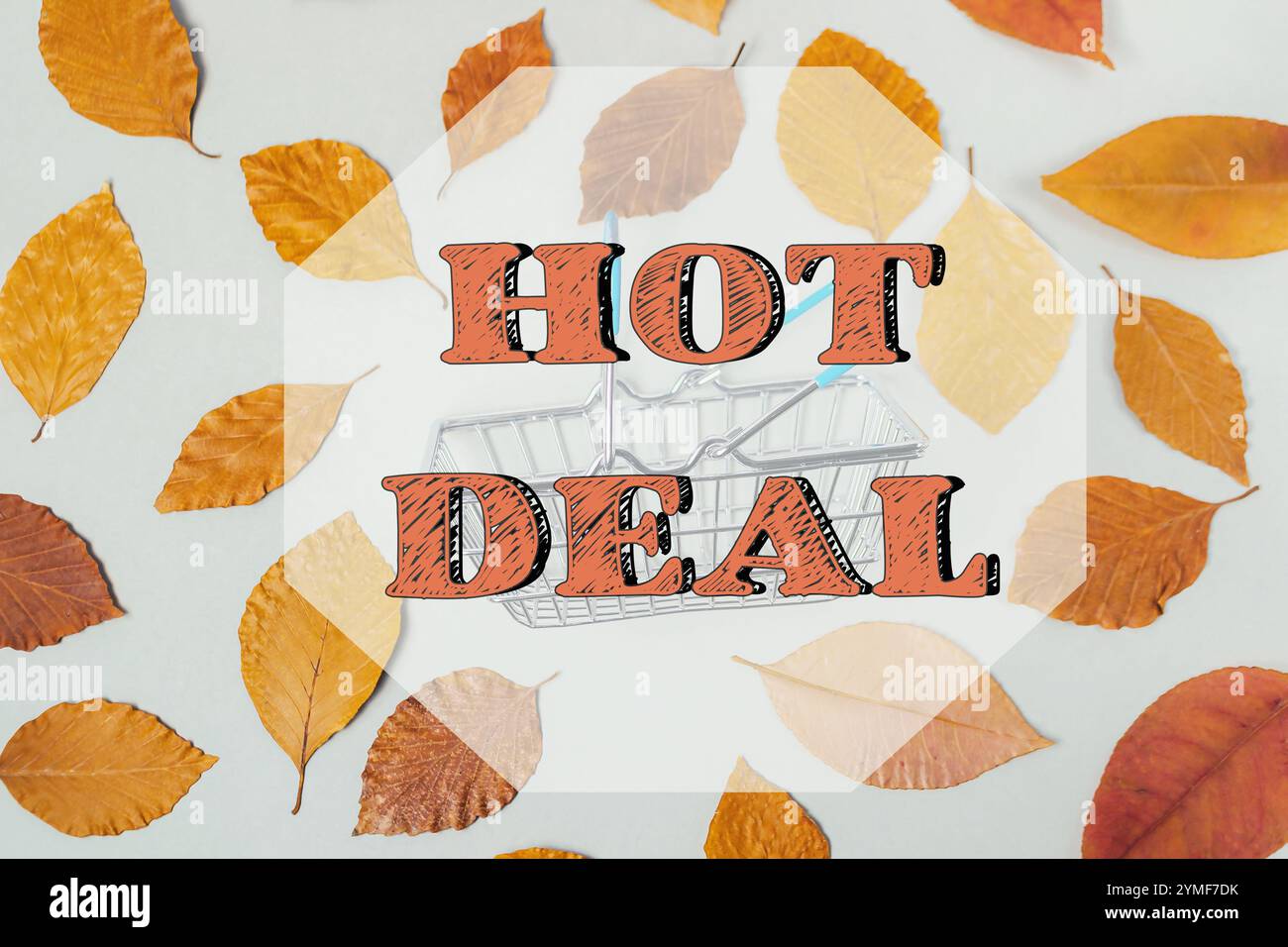 Photo de feuilles d'automne avec les mots HOT DEAL écrits en orange. L'image a une sensation rustique et naturelle, avec les feuilles et le texte orange cr Banque D'Images